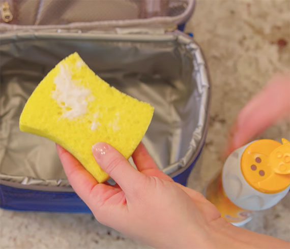 How To Deodorize Lunch Containers