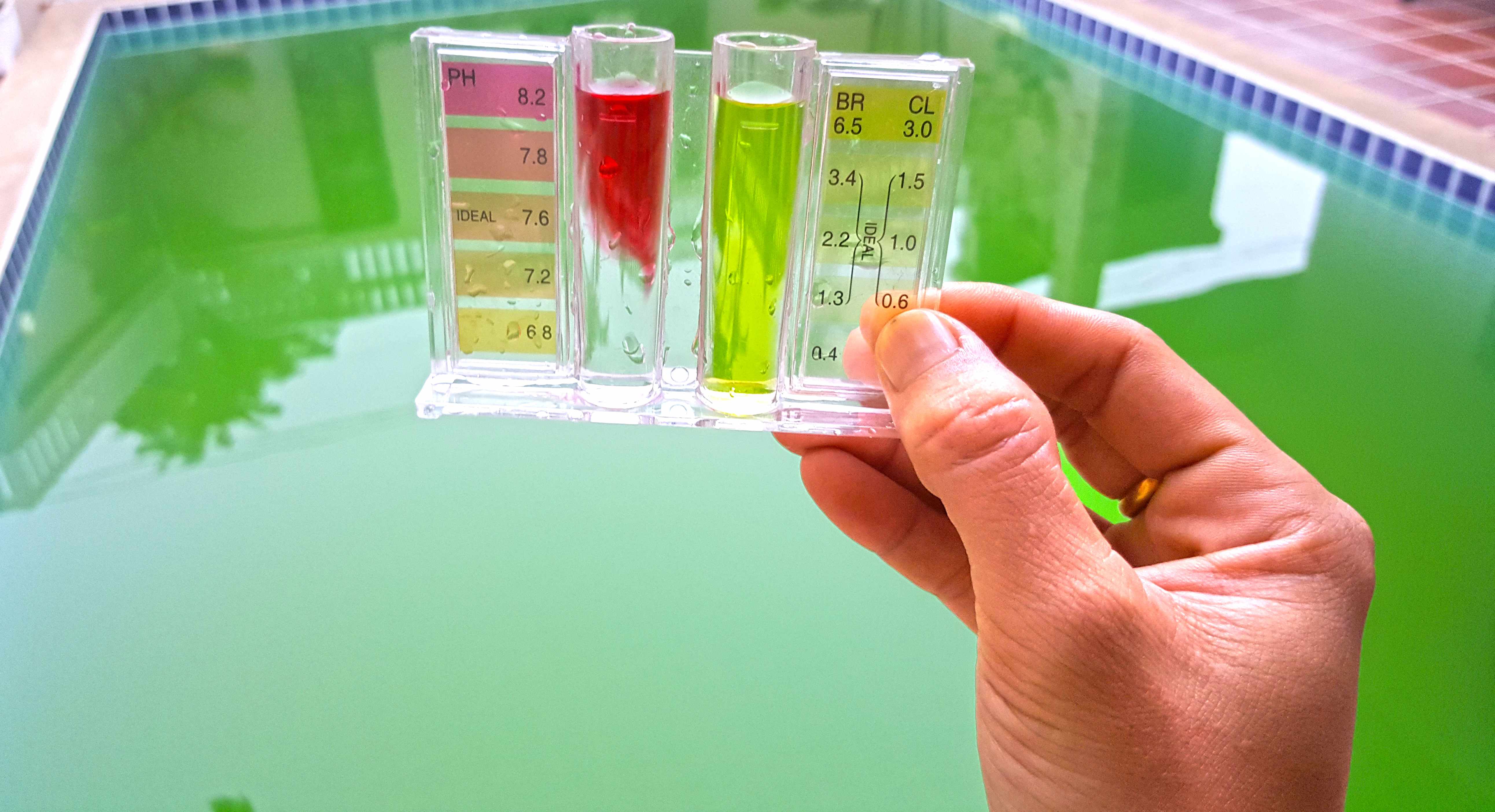 Testing pH pool levels in green water