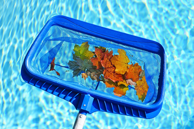 : Removing fall leaves from your swimming pool