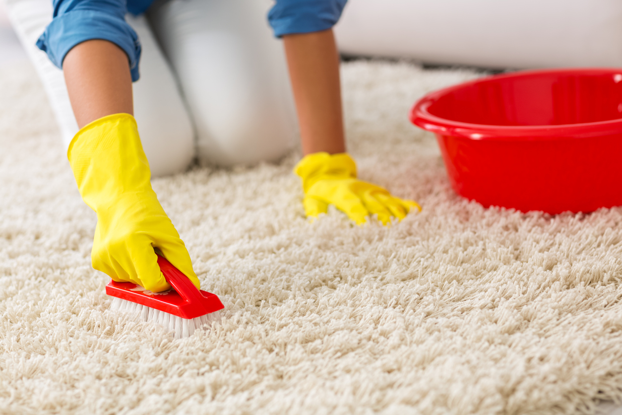 Getting Poop Out of Carpet