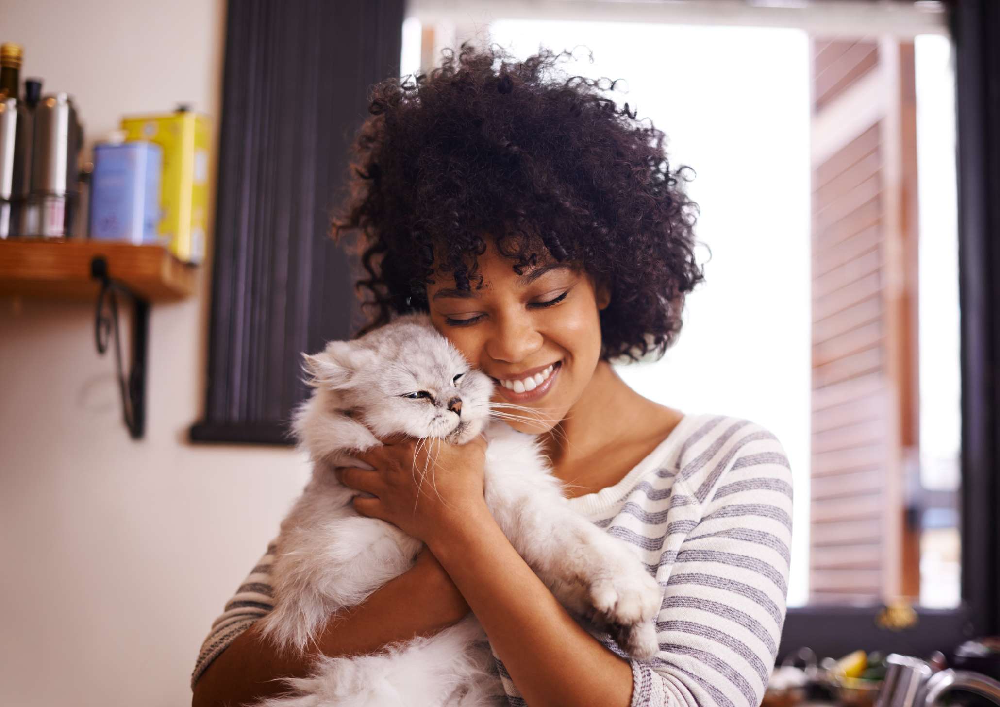 How to Bond With Your Cat or Kitten ARM & HAMMER™ Cat Litter