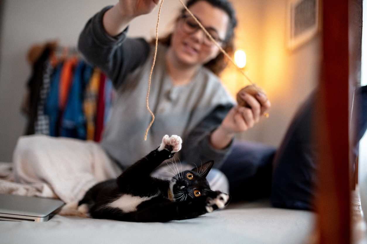 Woman and cat play with diy cat toy string