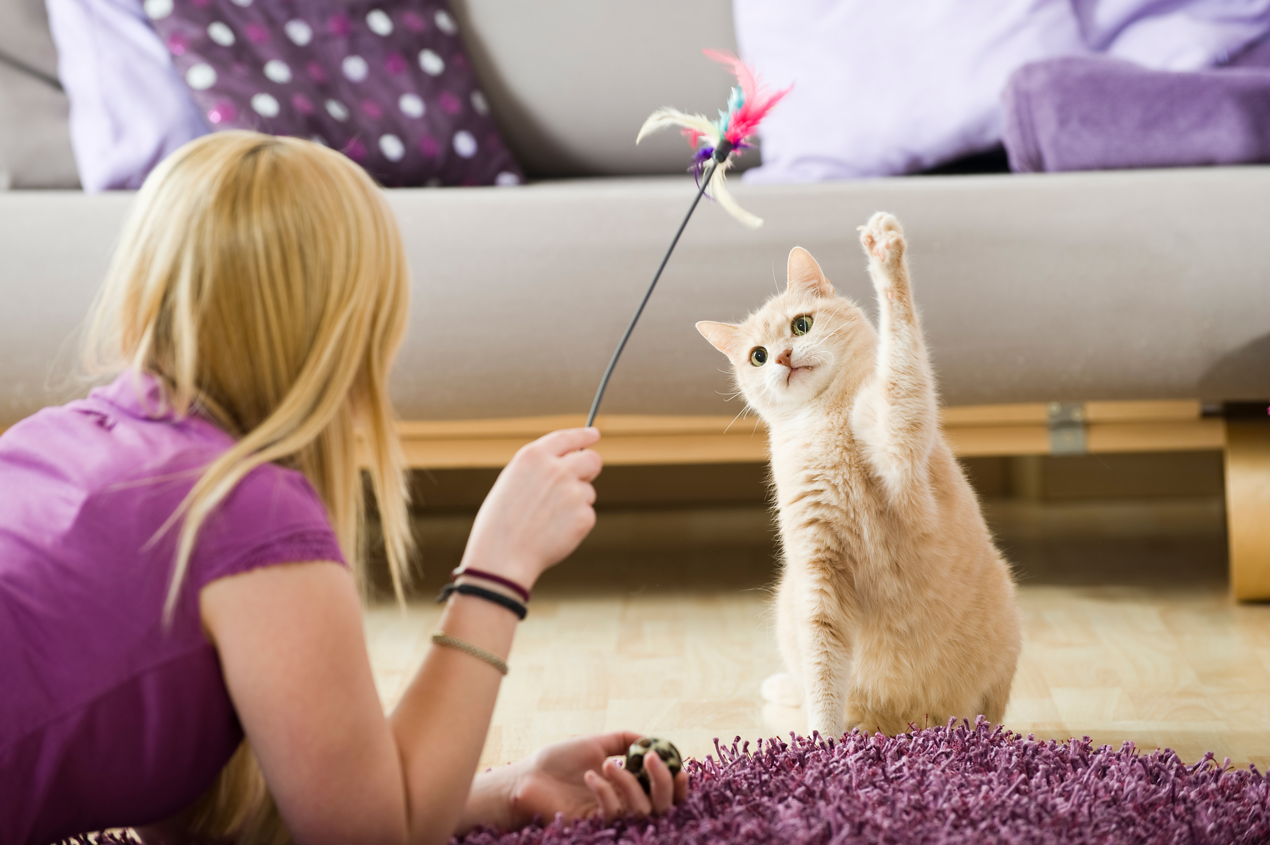 playing with your cat in between cutting nails