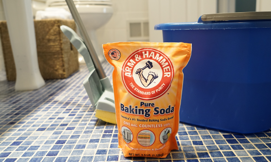 get rid of cat urine smell on carpet