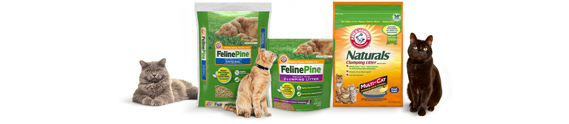 Feline Pine™ NonClumping Litter DustFree ARM & HAMMER™