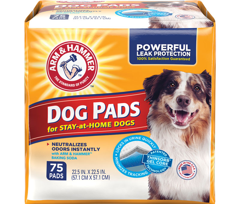 Arm & hammer puppy pads sale