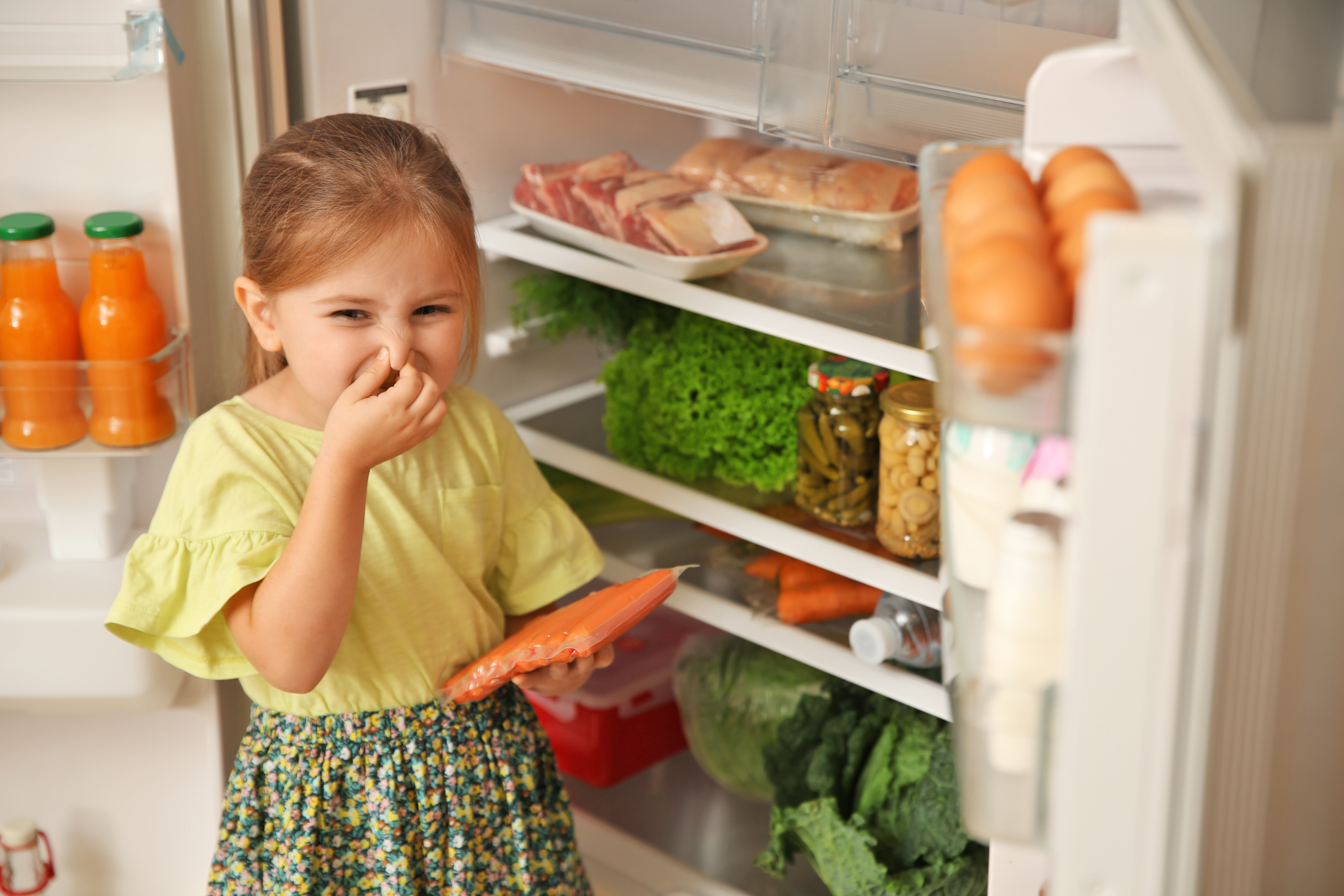 Food Refrigerator Odor