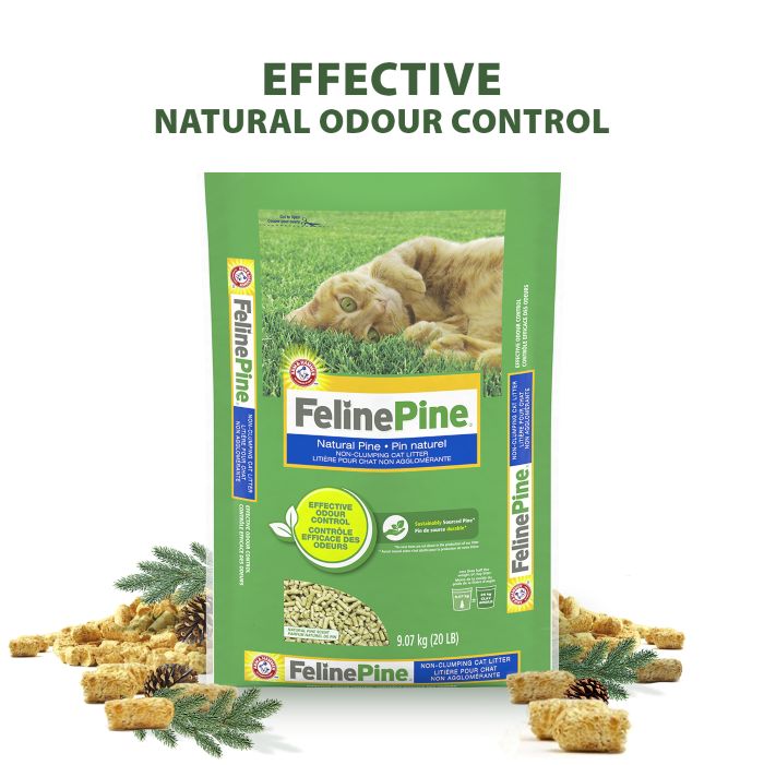 Arm & Hammer Feline Pine™ Non-Clumping Natural Cat Litter, Natural Pine Scent