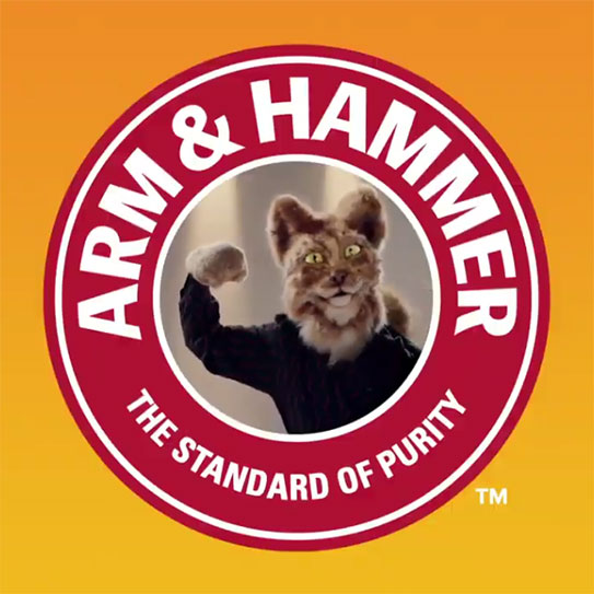 Arm and Hammer cat litter video
